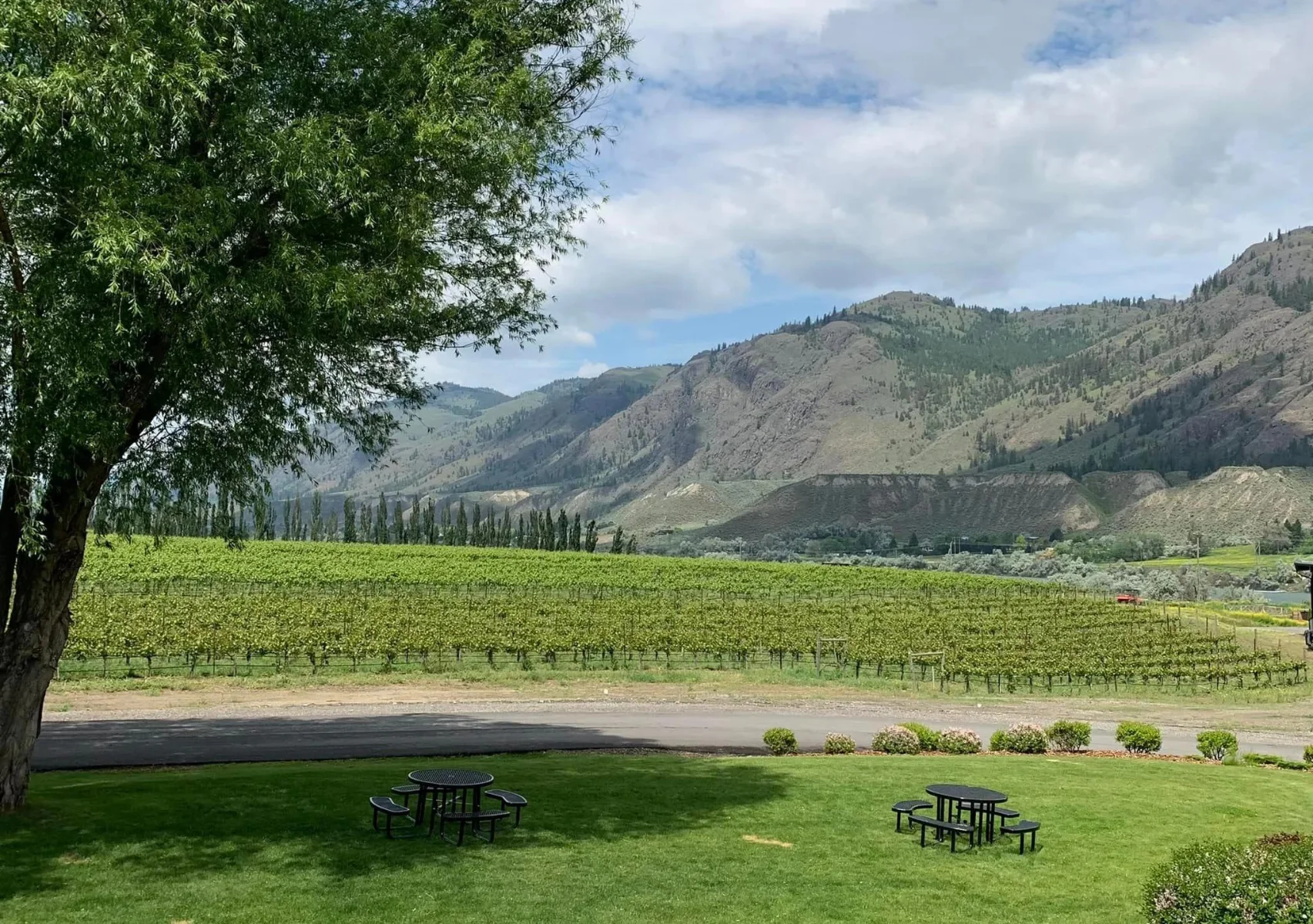 Airwaves Music Kamloops Venue - Monte Creek Ranch Vineyard