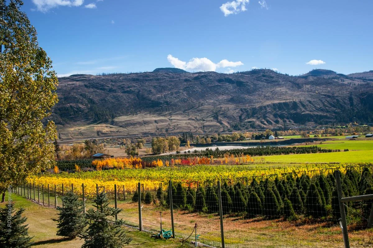Airwaves Music Kamloops Venue - Privato Vineyard and Winery