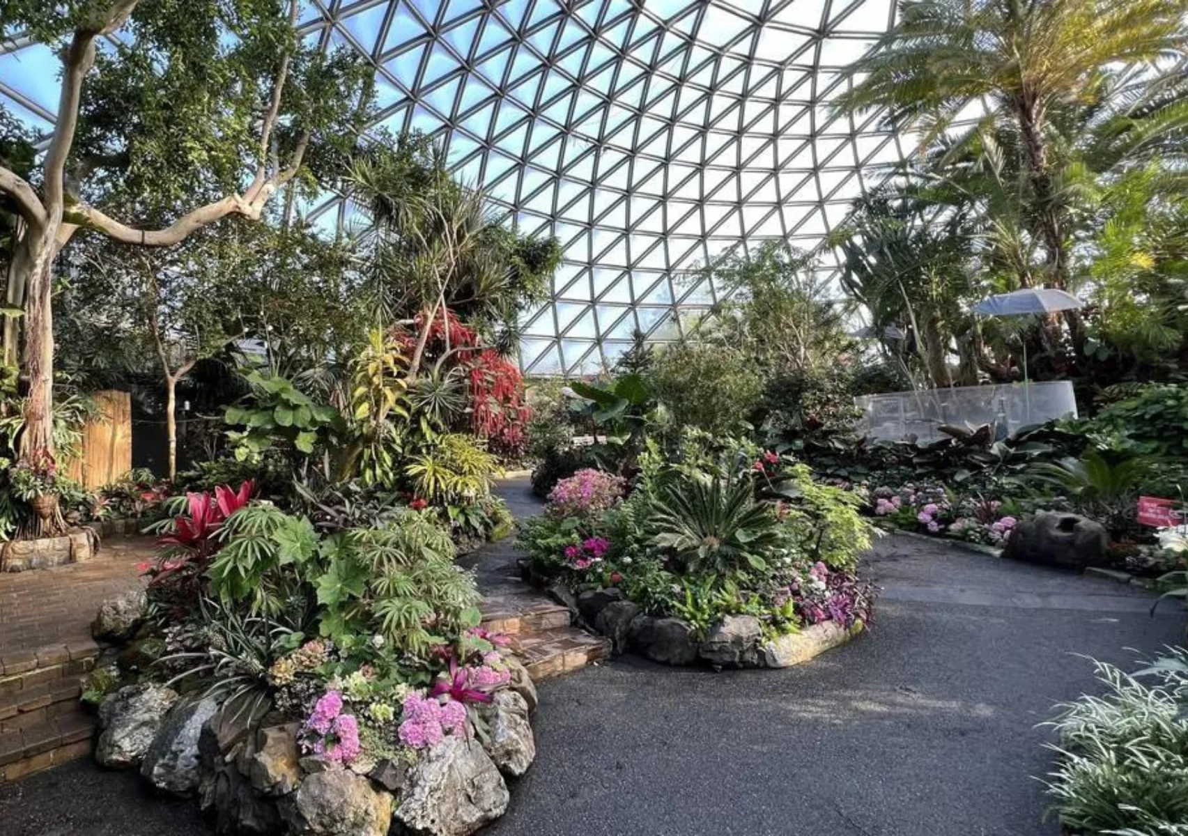 Airwaves Music Vancouver Wedding Venue – The Bloedel Conservatory Airwaves Music Vancouver Wedding Venue - The Bloedel Conservatory