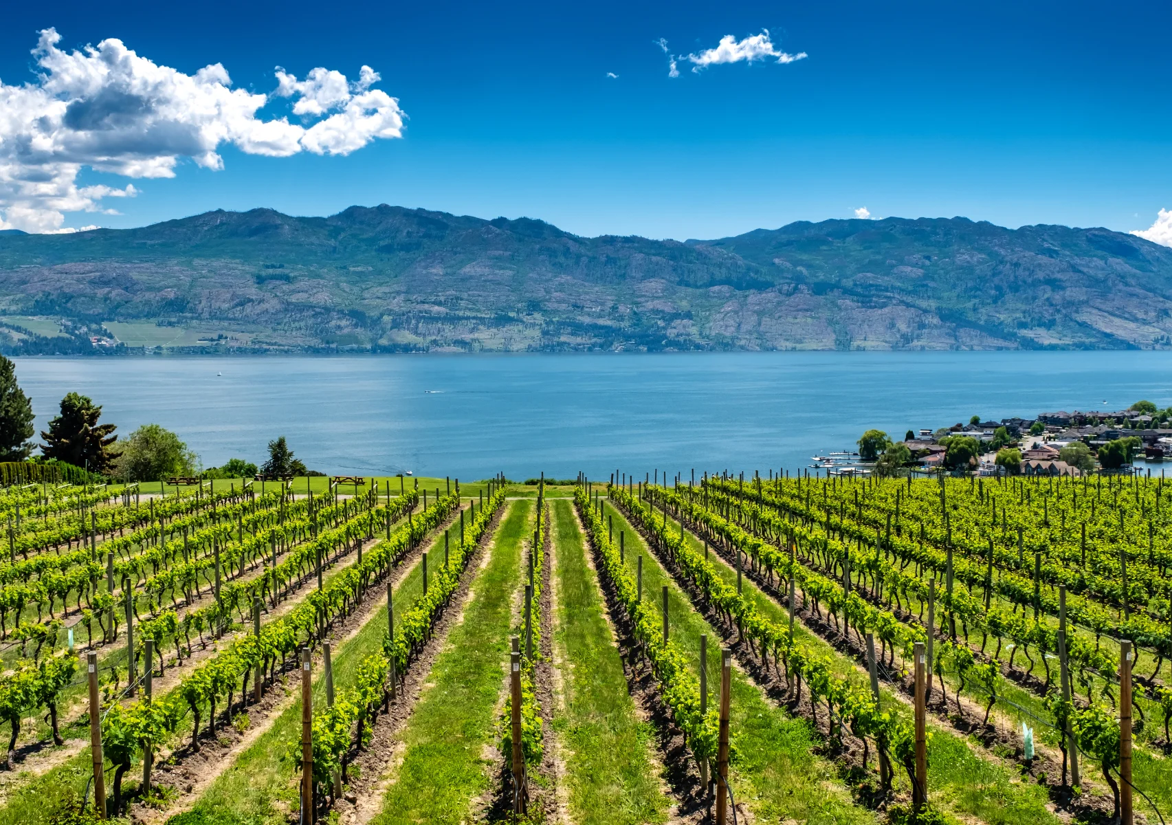Airwaves Music Penticton DJs – Lake Okanagan Airwaves Music Penticton DJs - Lake Okanagan