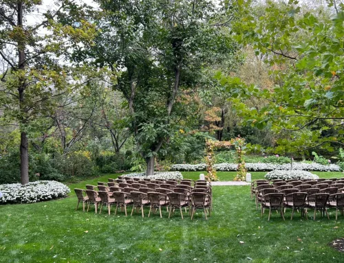 Skills to Look for in a Wedding DJ